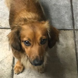 Meet your Posher, Cassie